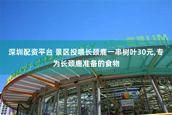 深圳配资平台 景区投喂长颈鹿一串树叶30元,专为长颈鹿准备的食物