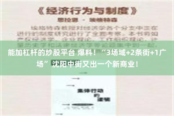 能加杠杆的炒股平台 爆料！“3场域+2条街+1广场” 沈阳中街又出一个新商业！