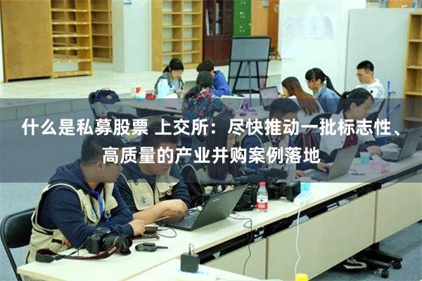 什么是私募股票 上交所：尽快推动一批标志性、高质量的产业并购案例落地