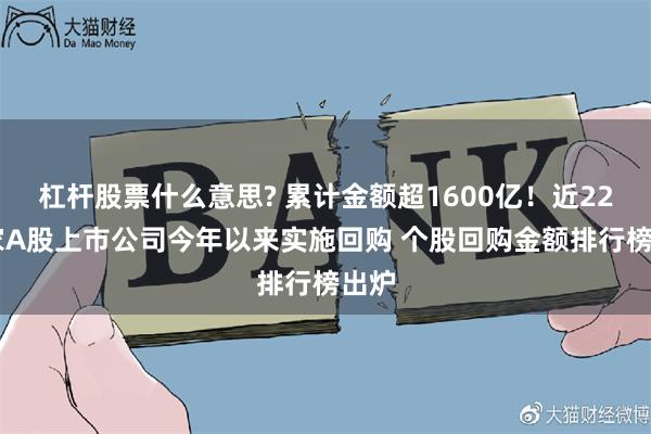 杠杆股票什么意思? 累计金额超1600亿！近2200家A股上市公司今年以来实施回购 个股回购金额排行榜出炉